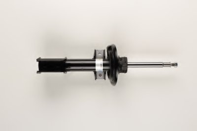 22197313 BILSTEIN