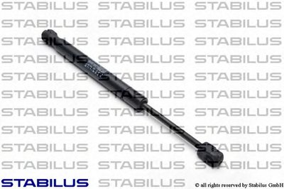 031370 STABILUS