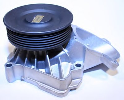 P487 HEPU