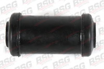 BSG30700009 BSG