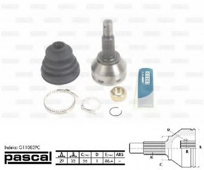 G11083PC PASCAL