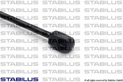 031370 STABILUS