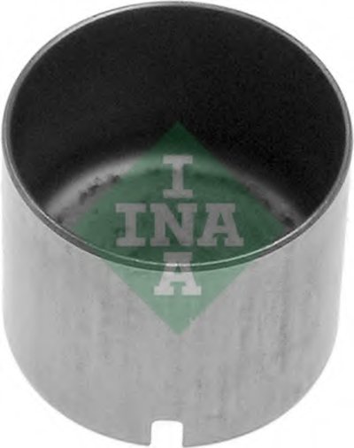421001210 INA