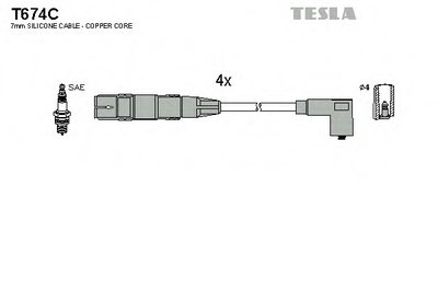 T674C TESLA