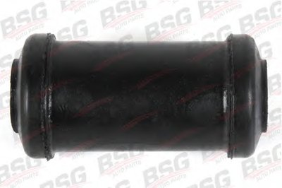 BSG30700010 BSG