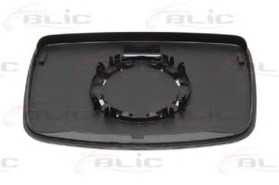 6102021293919P BLIC