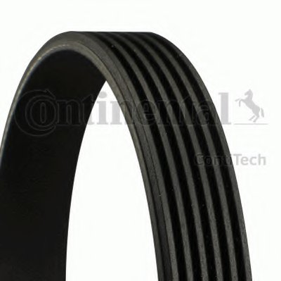 6PK848ELAST CONTITECH