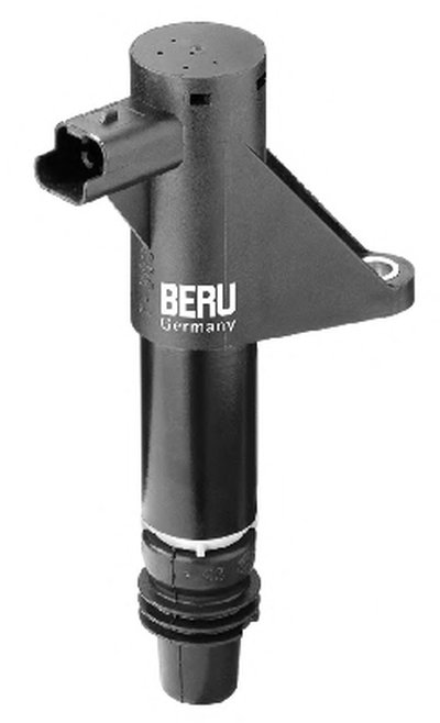 ZS347 Beru