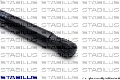 031370 STABILUS