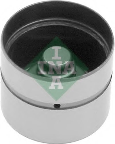 420005910 INA