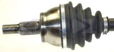 25599 SPIDAN
