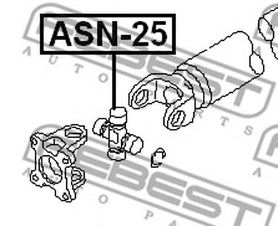 ASN25 FEBEST