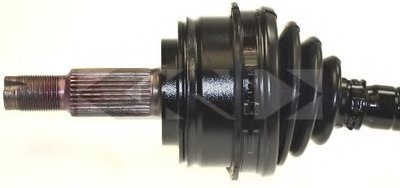 25261 SPIDAN