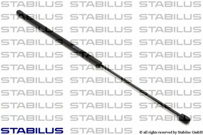 6253QS STABILUS