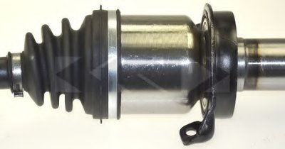 25599 SPIDAN