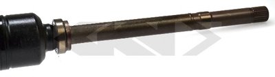 21692 SPIDAN