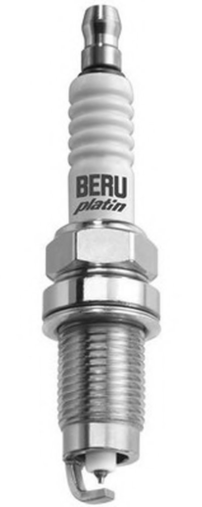 Z306 BERU