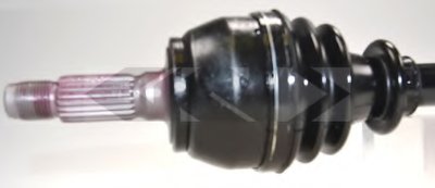 21638 SPIDAN