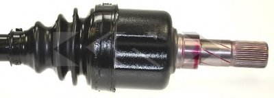 25261 SPIDAN