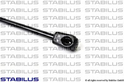 031543 STABILUS