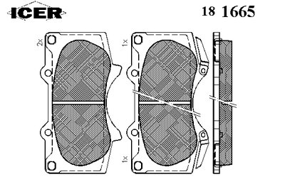 181665 ICER