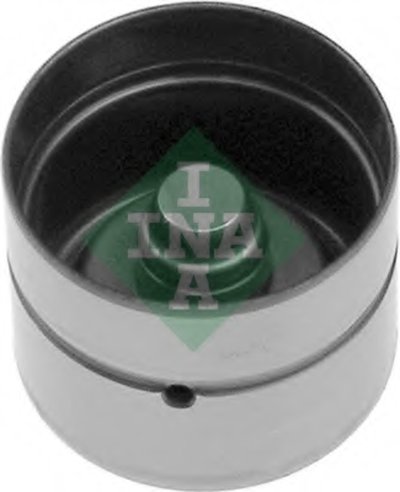 420006110 INA