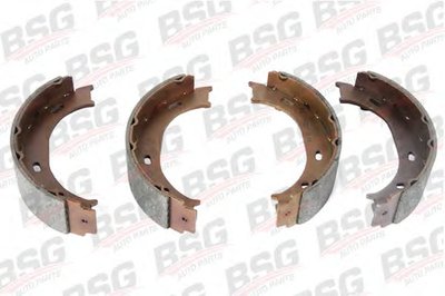 BSG60205002 BSG