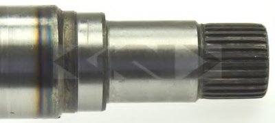 25599 SPIDAN