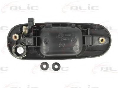 601012028401P BLIC
