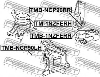 TM1NZFERH FEBEST