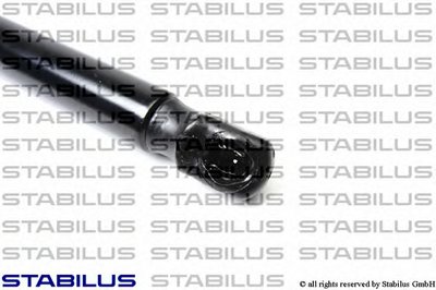 031543 STABILUS