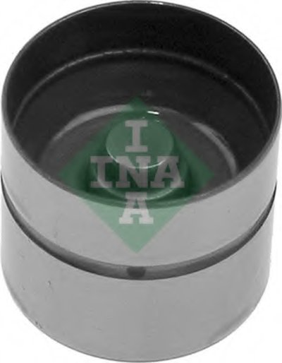 420006210 INA