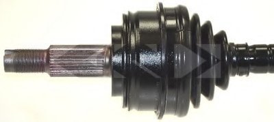 25262 SPIDAN