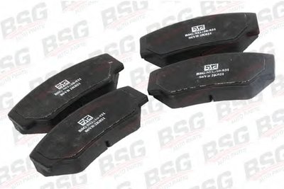 BSG30200013 BSG