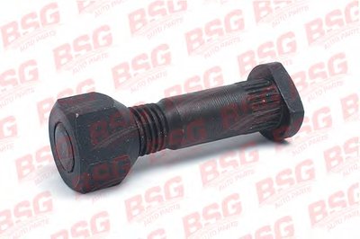 BSG30230010 BSG
