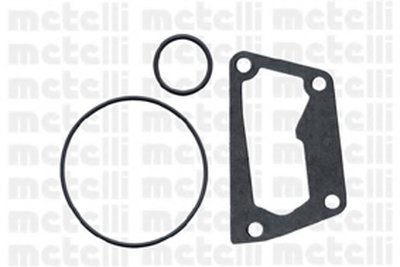 240620 METELLI