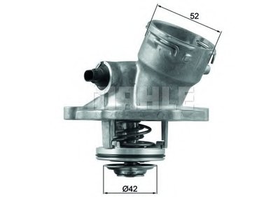 TM45100D MAHLE