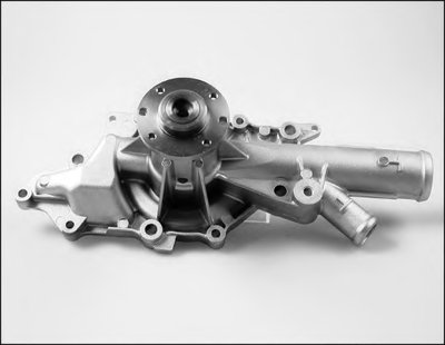 P1538 HEPU