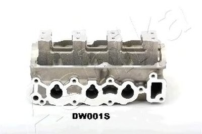 DW001S ASHIKA