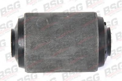 BSG30700016 BSG