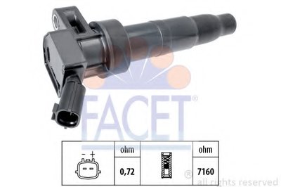96456 FACET