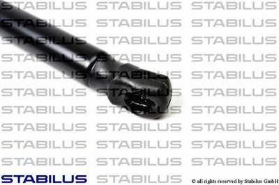 031779 STABILUS