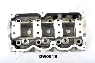 DW001S ASHIKA