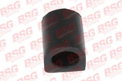 BSG60700017 BSG