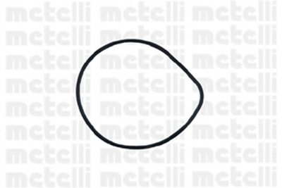 240427 METELLI
