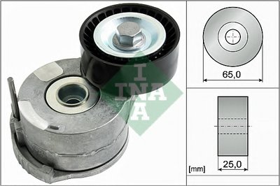534040310 INA