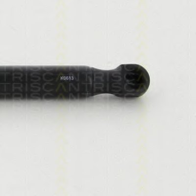 871080213 Triscan