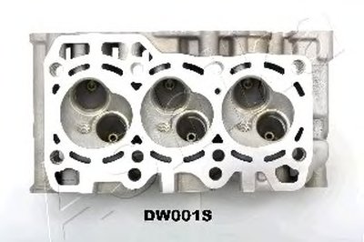 DW001S ASHIKA