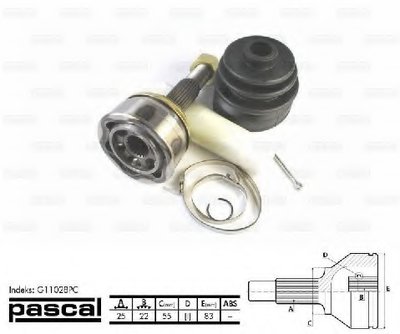 G11028PC PASCAL