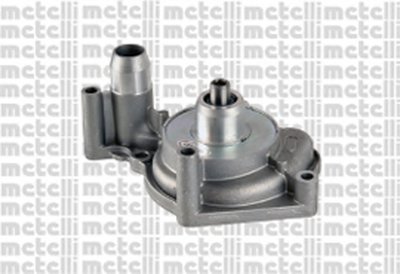 241163 METELLI